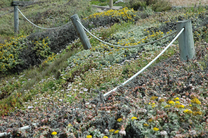 Moonstone Beach 073.jpg